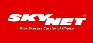 skynet